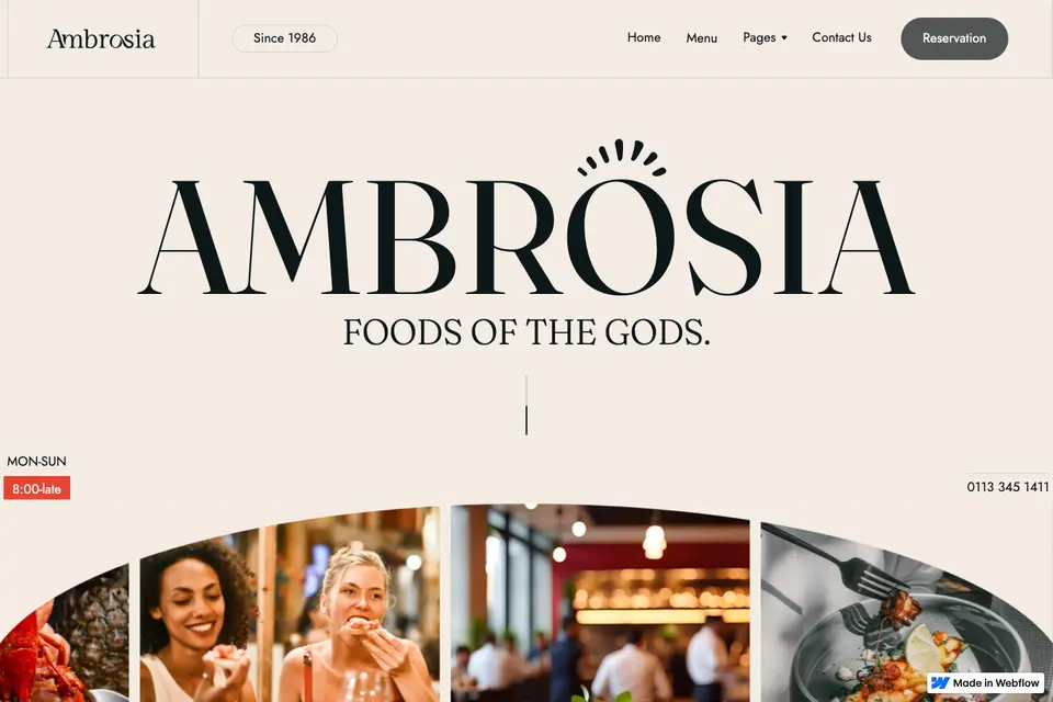 Ambrosia 打开预览