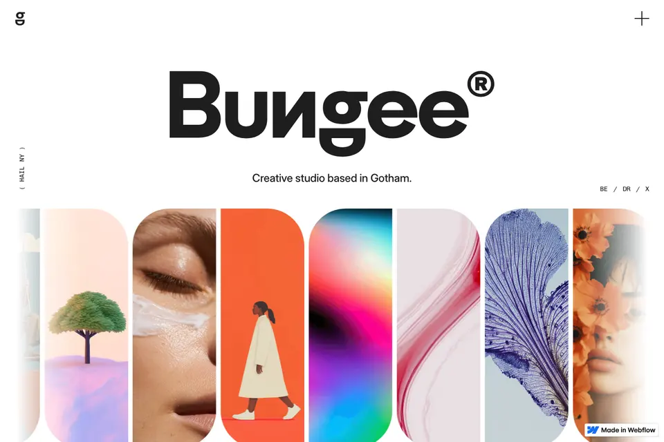 Bungee 打开预览