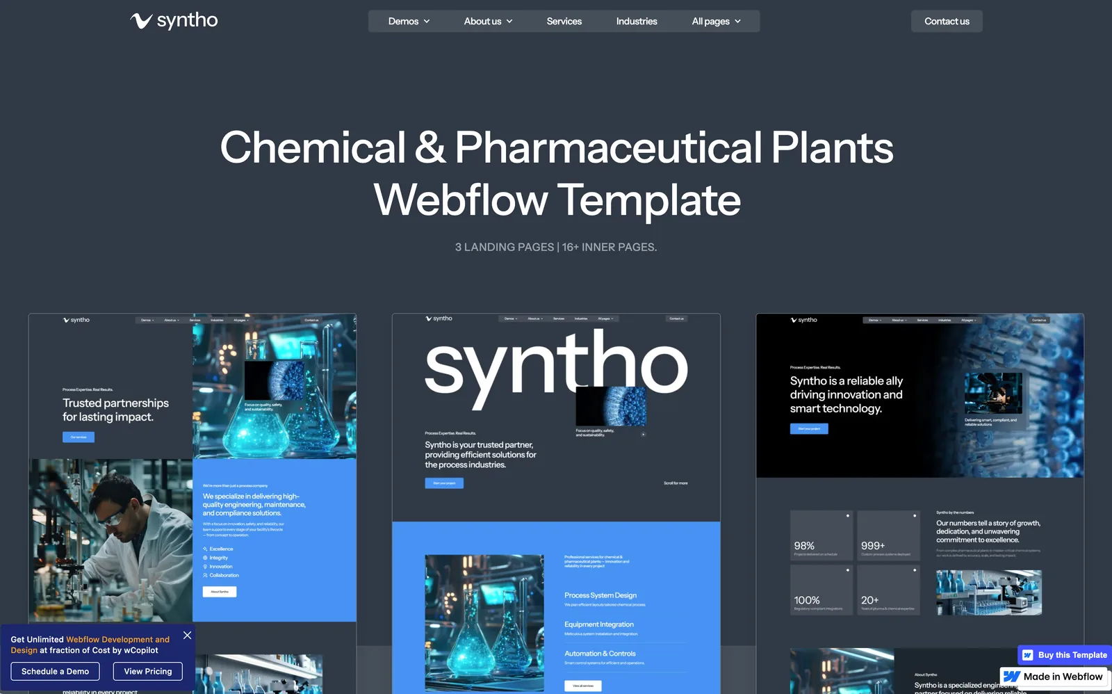 Syntho 打开预览